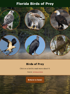 A cropped screenshot of a website. The header reads Florida Birds of Prey. There are several round images of different birds of prey. In a box below, it reads Click a bird to learn more about it, followed by Source: All ABout Birds and a link to the website.